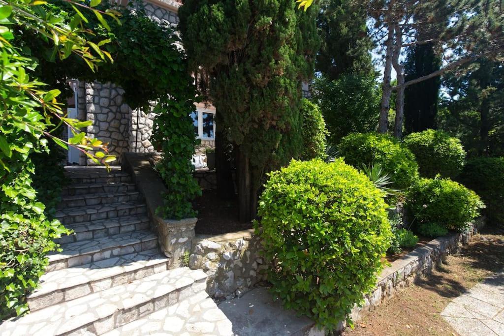 Villa Stefi Novi Vinodolski Εξωτερικό φωτογραφία